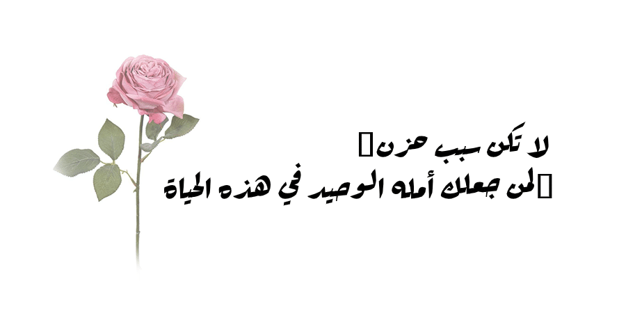 بايوهات انستقرام